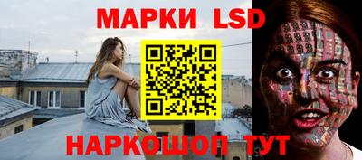 сатива Тверь