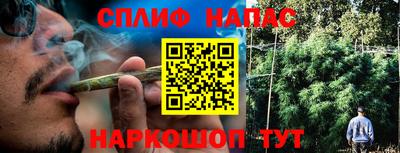 сатива Тверь