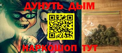 сатива Тверь