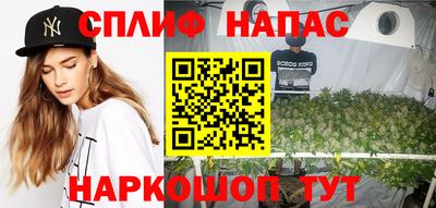 СК Тара